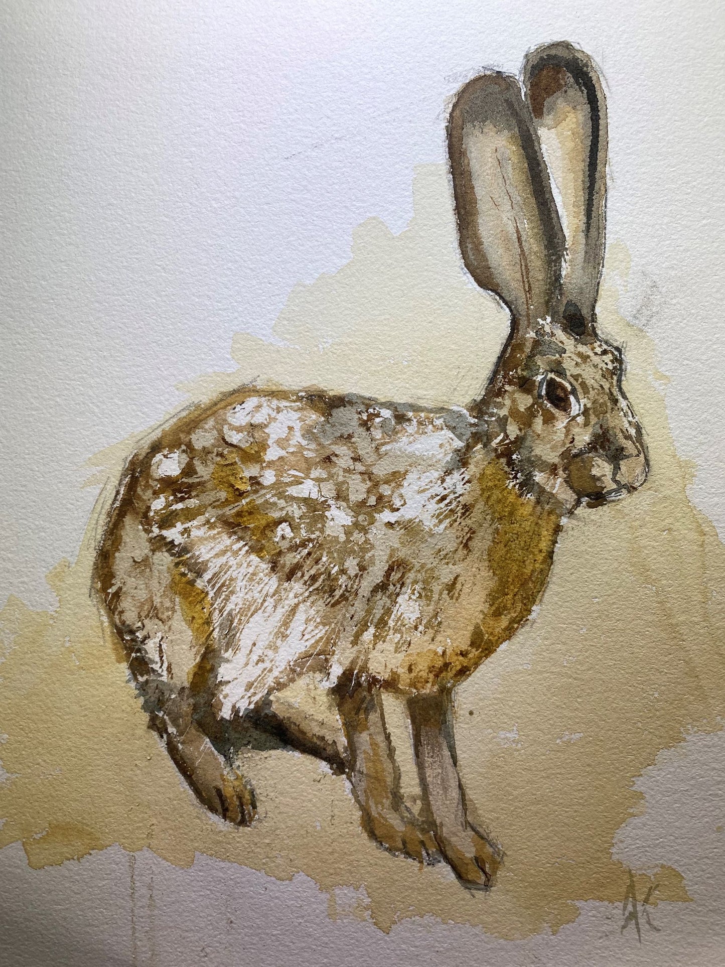 "Hare Watercolour Study"